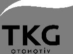TKG Otomotiv logosu